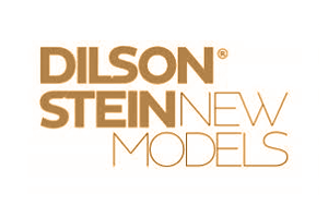 Logo Dilson Stein