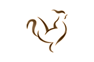 Logo Agência Gallo